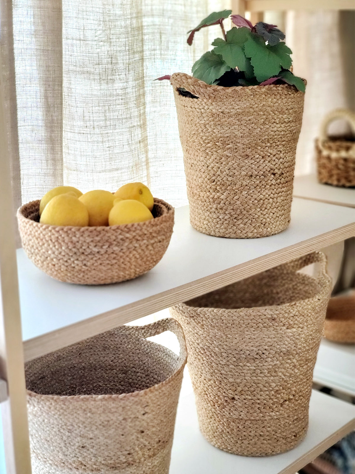 Kata Candy Bowl - Natural (Set of 4) by KORISSA