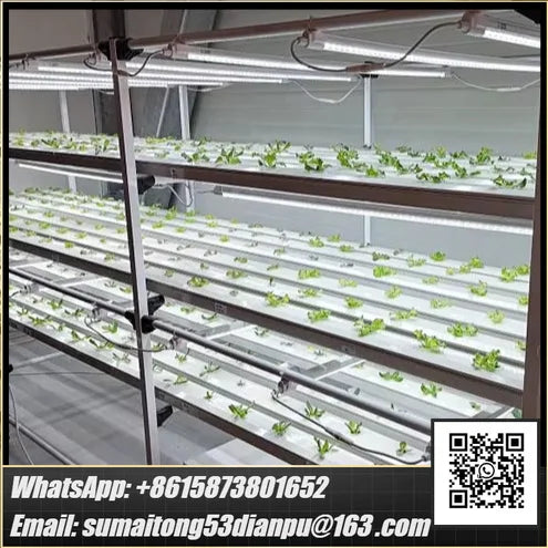 OEM Nft Hydroponics Nft Channel Growing System Kits Vertical Lettuce Strawberry Agricultural NFT Growing System Plant Vegetable by FLIPSTYLEZLLC