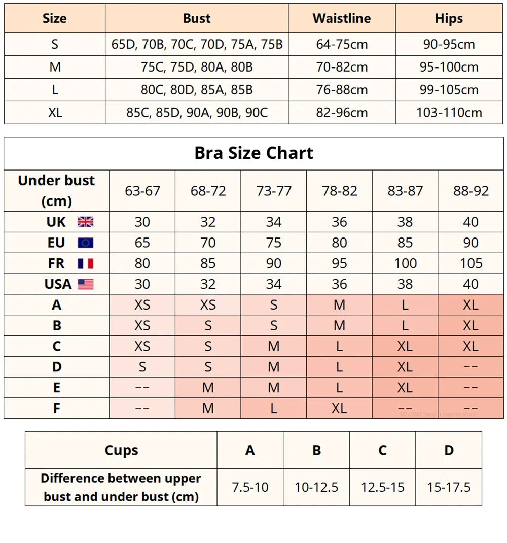 Embroidery Lingerie 3Pcs Sets Ultrathin Mesh Patchwork See Through Bras And Thongs Garter Suits Erotic Intimate Sexy Underwear by Ladyez