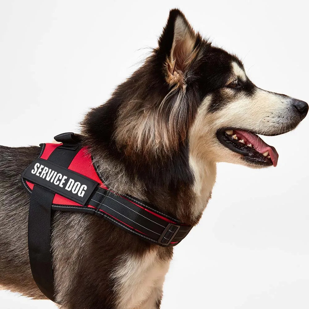 Accept Customise Patches Pet Dog Harness No Pull Reflective Saddle Adjustable Dog Walking For Small Medium And Large Dogs Vest by FLIPSTYLEZLLC