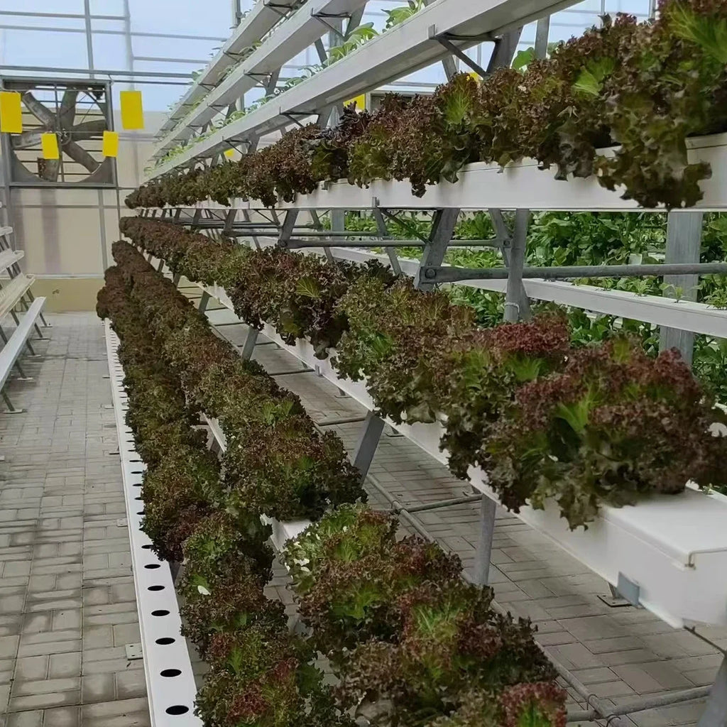 OEM Nft Hydroponics Nft Channel Growing System Kits Vertical Lettuce Strawberry Agricultural NFT Growing System Plant Vegetable by FLIPSTYLEZLLC