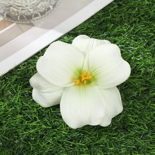 Away Hawaiian Flower Hair Clip by Raspberry Eurybia