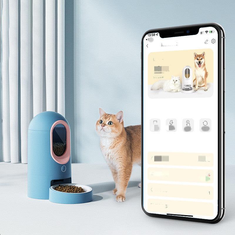 Intellifeed: Smart Stainless Steel Cat Feeder With App Control by Dog Hugs Cat