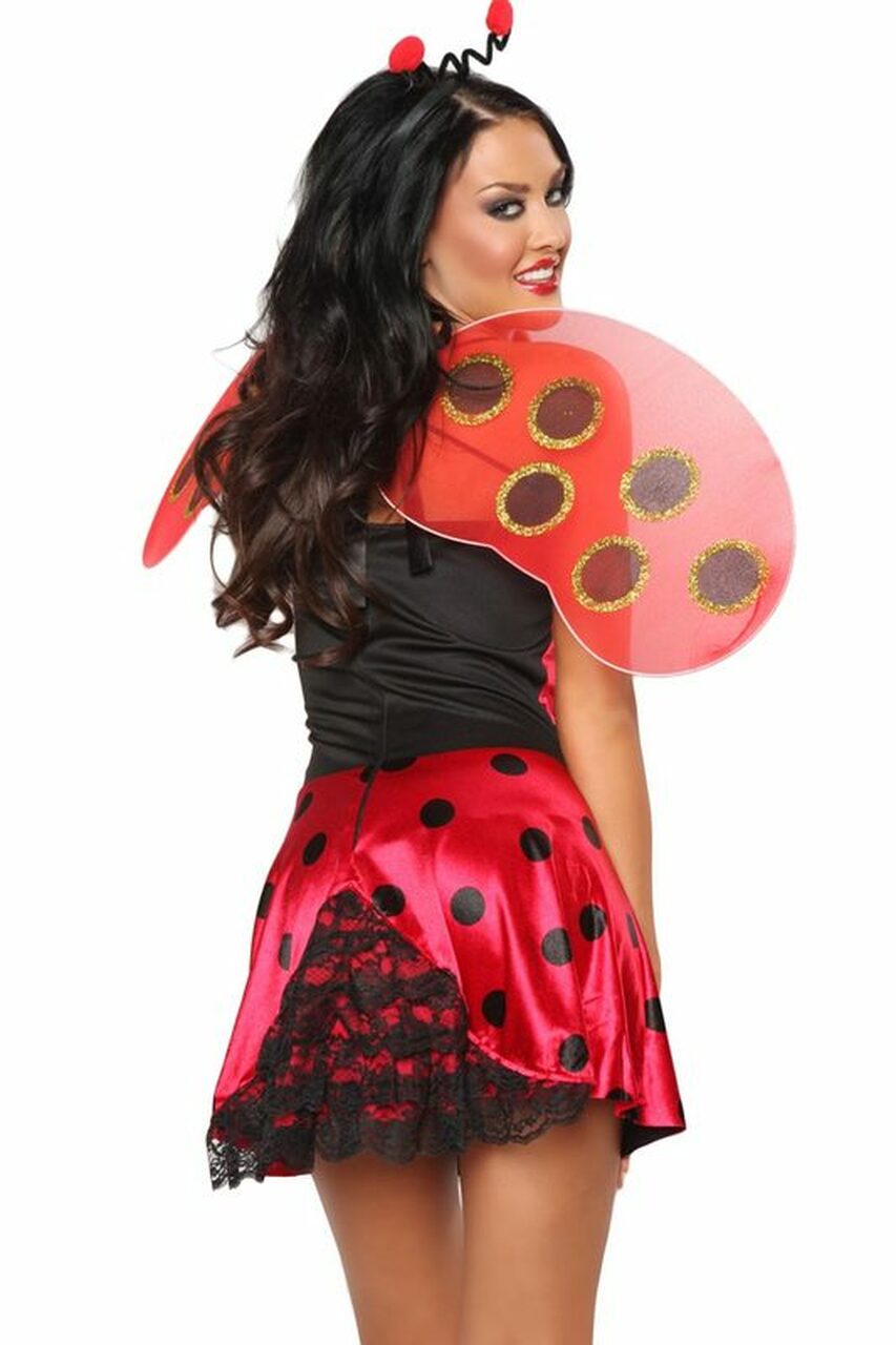 Lovely Ladybug Costume by 3wishes.com