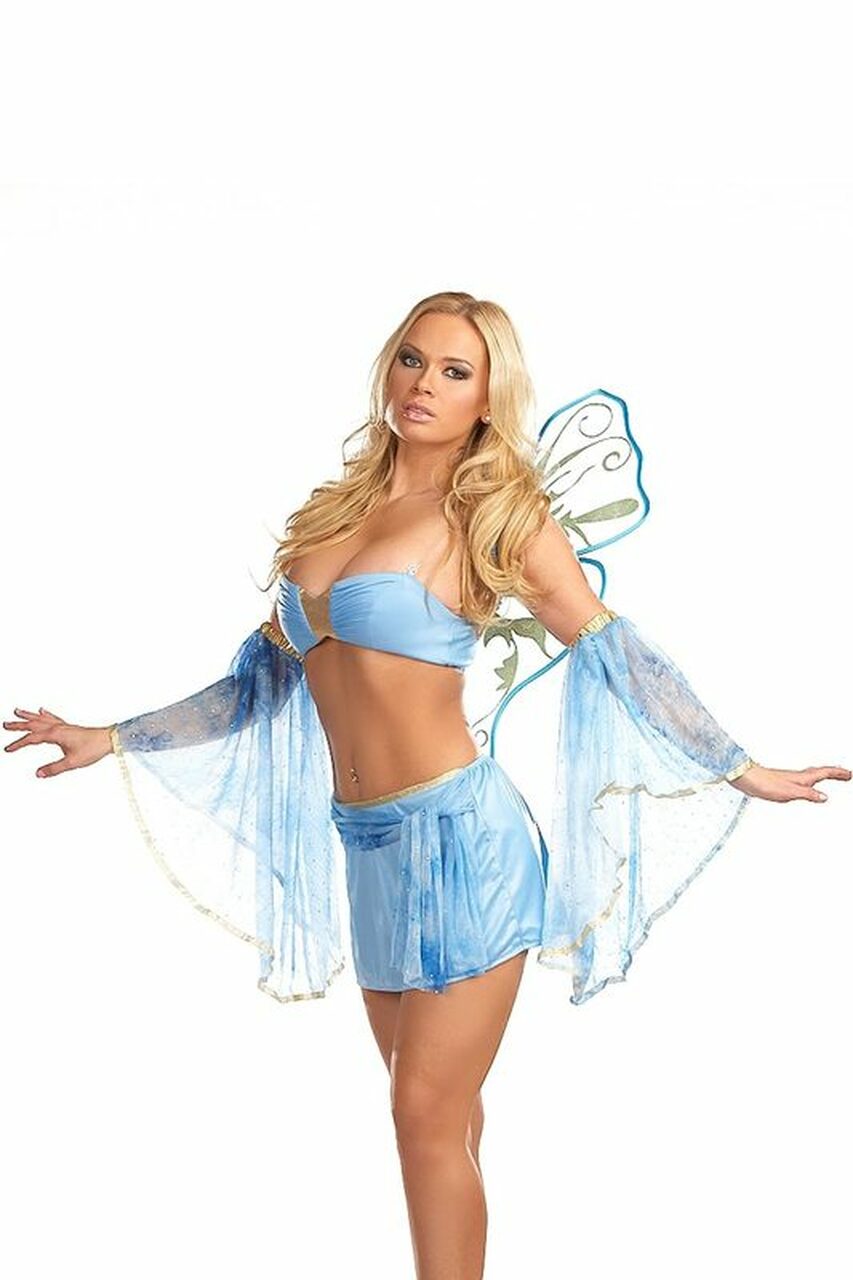 Nicolette Fairy Costume by 3wishes.com