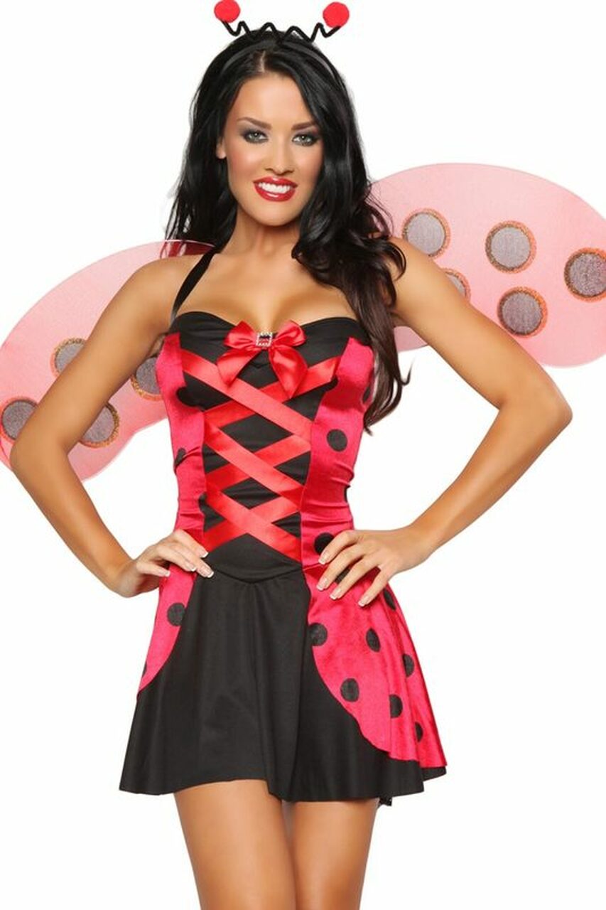 Lovely Ladybug Costume by 3wishes.com