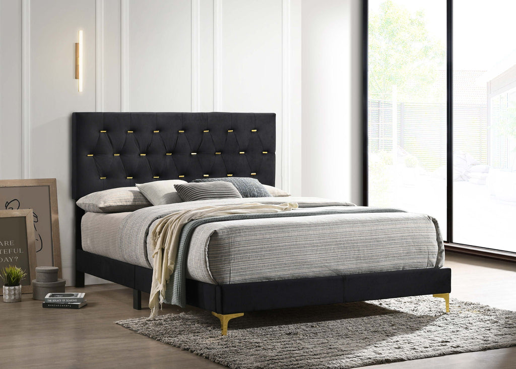 Kendall Upholstered Queen Panel Bed Black by Unique Piece Furniture