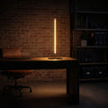 Dimond - LED Table Lamp With On / Off Switch Round Base - Black / Gold by Unique Piece Furniture