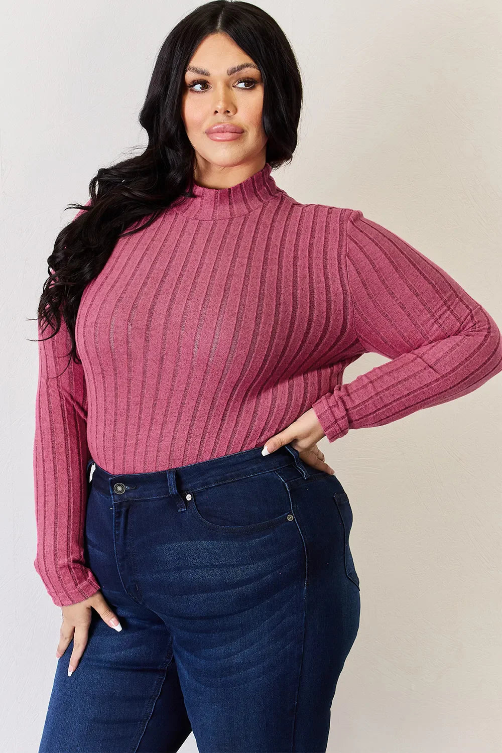 Basic Bae Full Size Ribbed Mock Neck Long Sleeve T-Shirt by Wild and Free Boutique