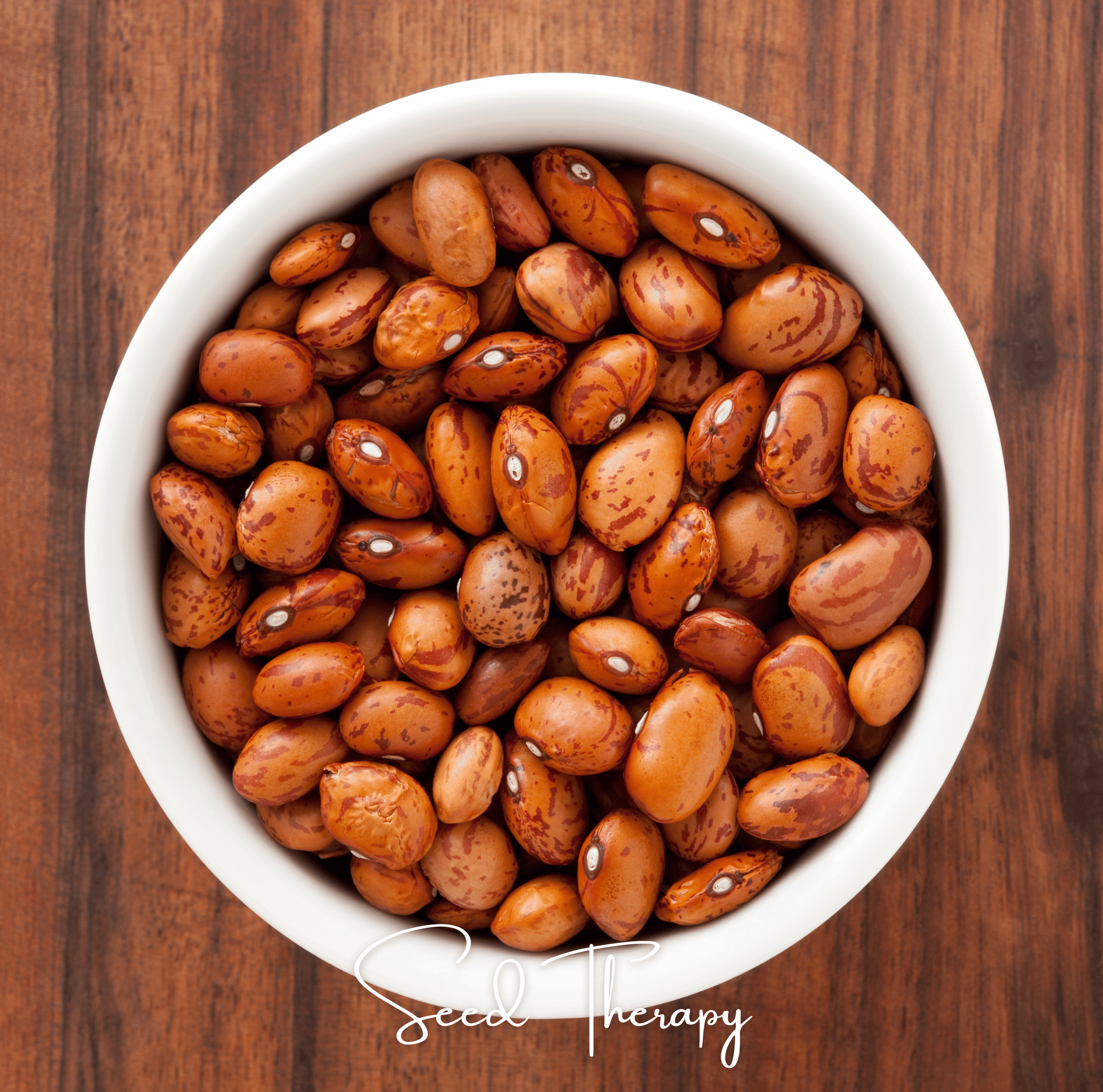 Pinto Bean – 20 Seeds by Southern Seeds
