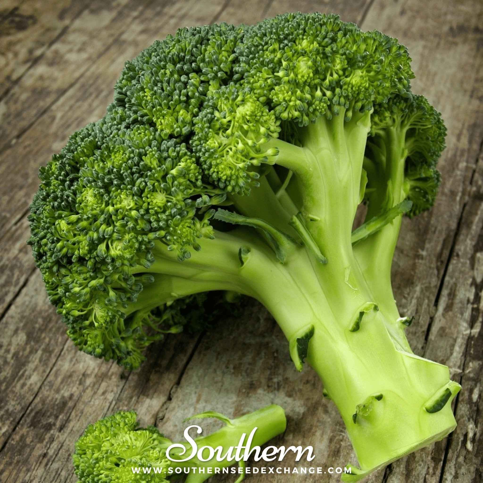Waltham 29 Broccoli – 100 Seeds by Southern Seeds