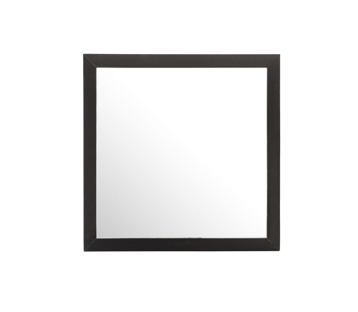 Burlington - Modern Design Transitional Wall Mirror by Unique Piece Furniture