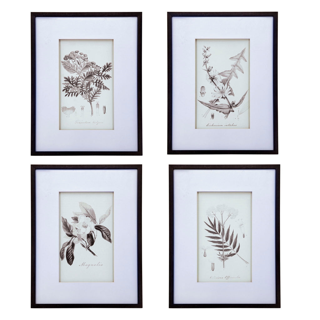 Botanical Wall Art Prints, Home Decor For Living Room Dining Room, Bedroom, Hallway (Set of 4) - White / Black by Unique Piece Furniture