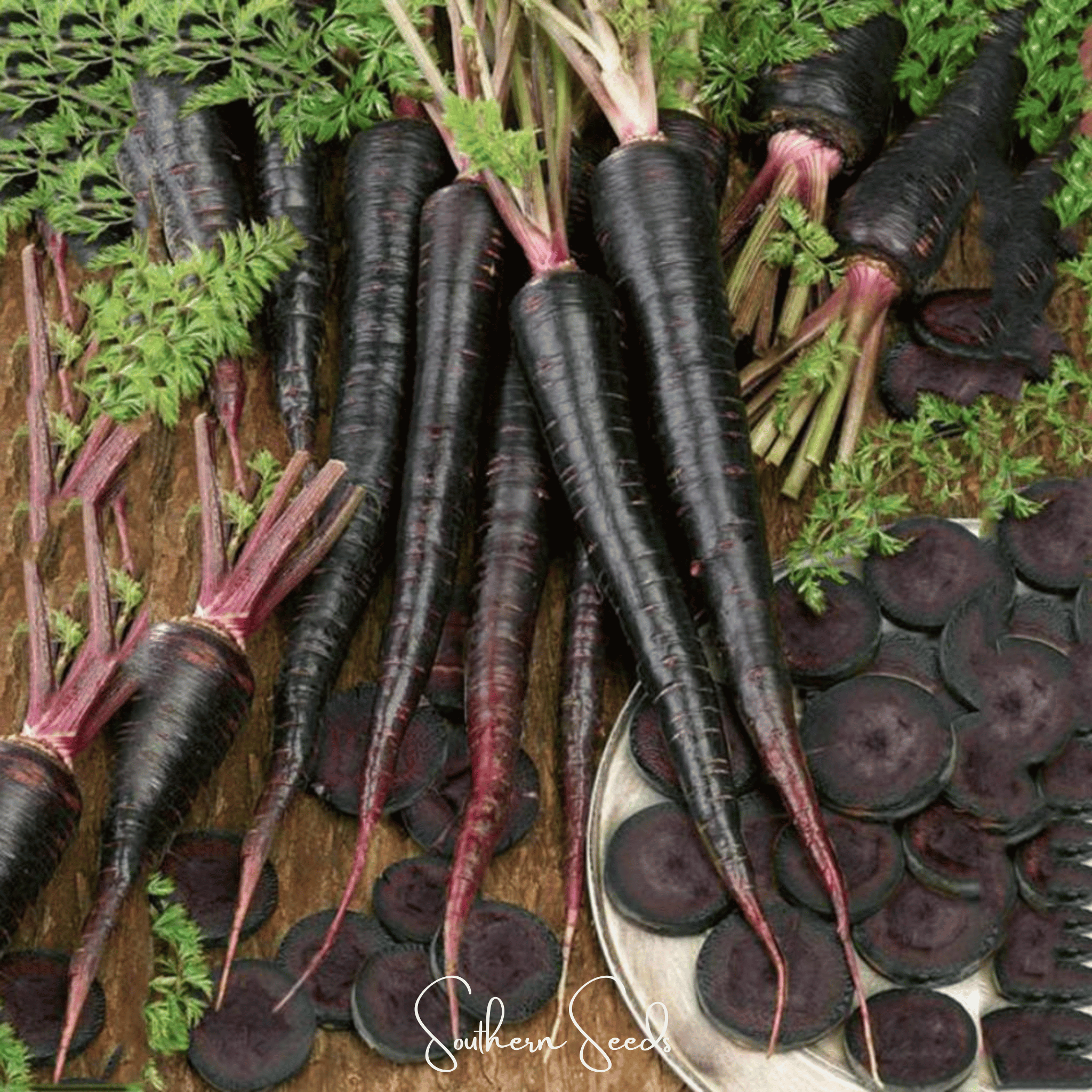 Black Nebula Carrot – 250 Seeds by Southern Seeds