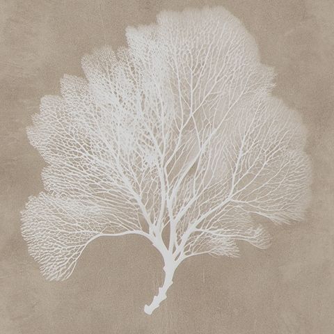 Hendridge - Wall Art Set (Set of 3) - Taupe / White by Unique Piece Furniture