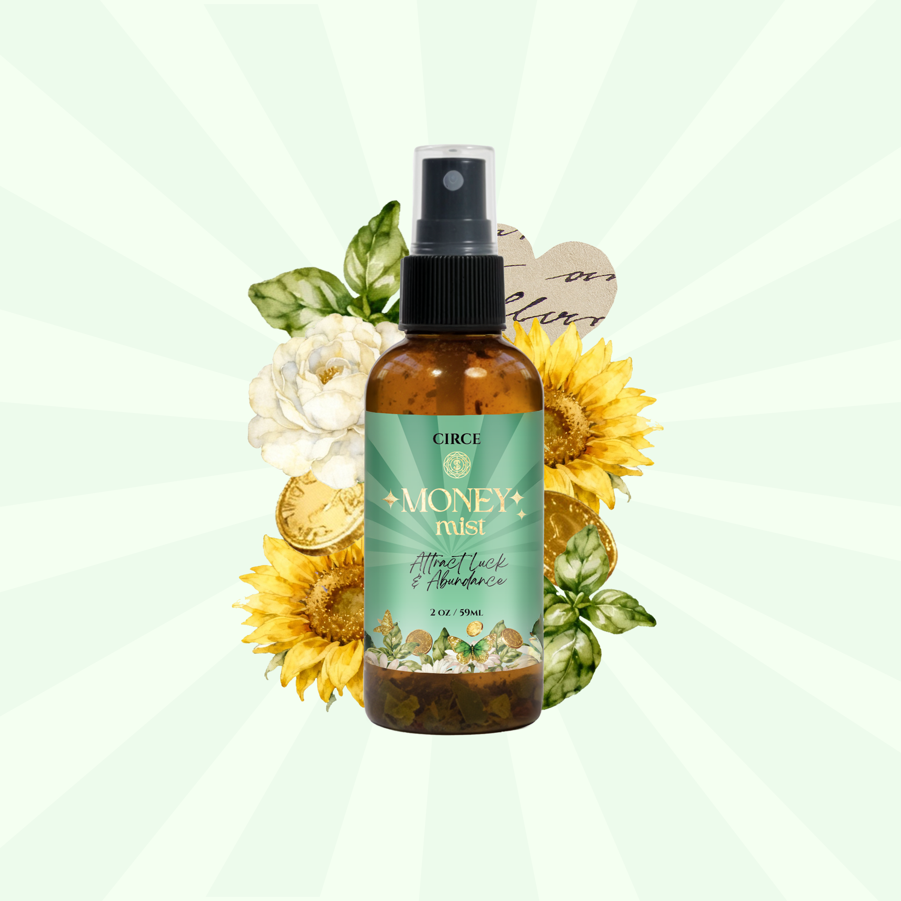 Money Mist – 2 oz Abundance & Prosperity Spray | Bay Leaf & Cinnamon by Circe Boutique