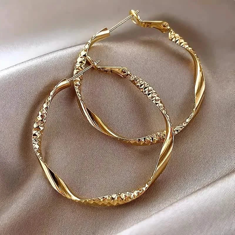 Delicate Silky Texture Design Women's Earrings by DailySale