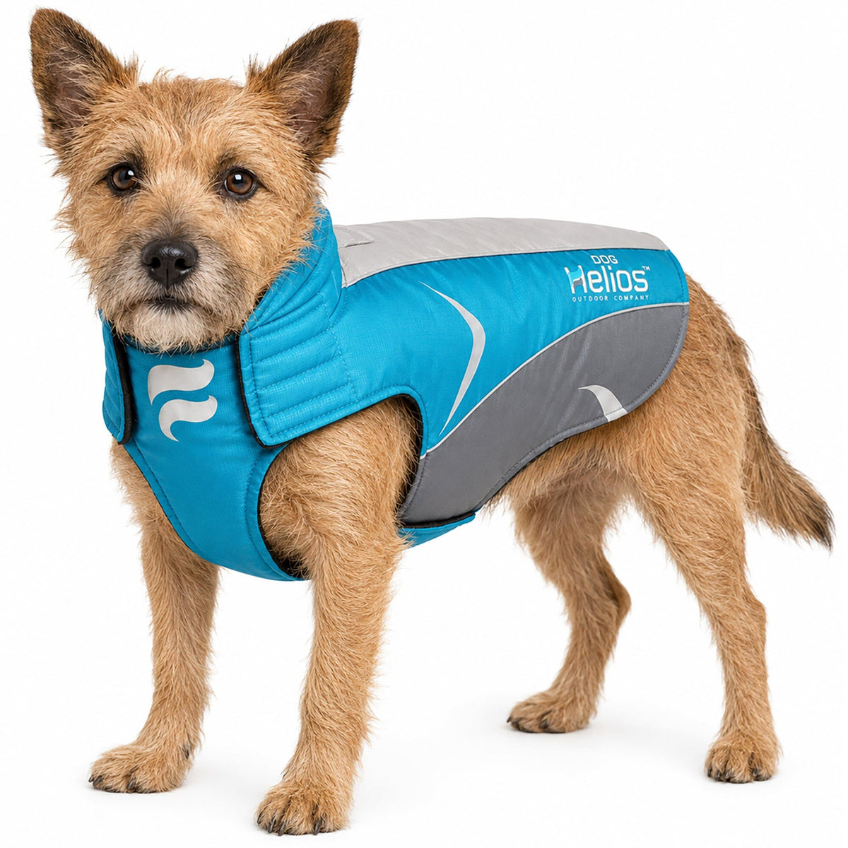 Dog Helios ® Altitude-Mountaineer Wrap-Hook-and-Loop Waterproof Dog Coat by Pet Life