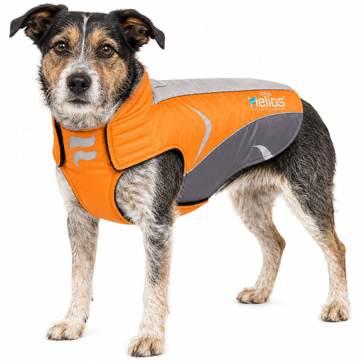 Dog Helios ® Altitude-Mountaineer Wrap-Hook-and-Loop Waterproof Dog Coat by Pet Life