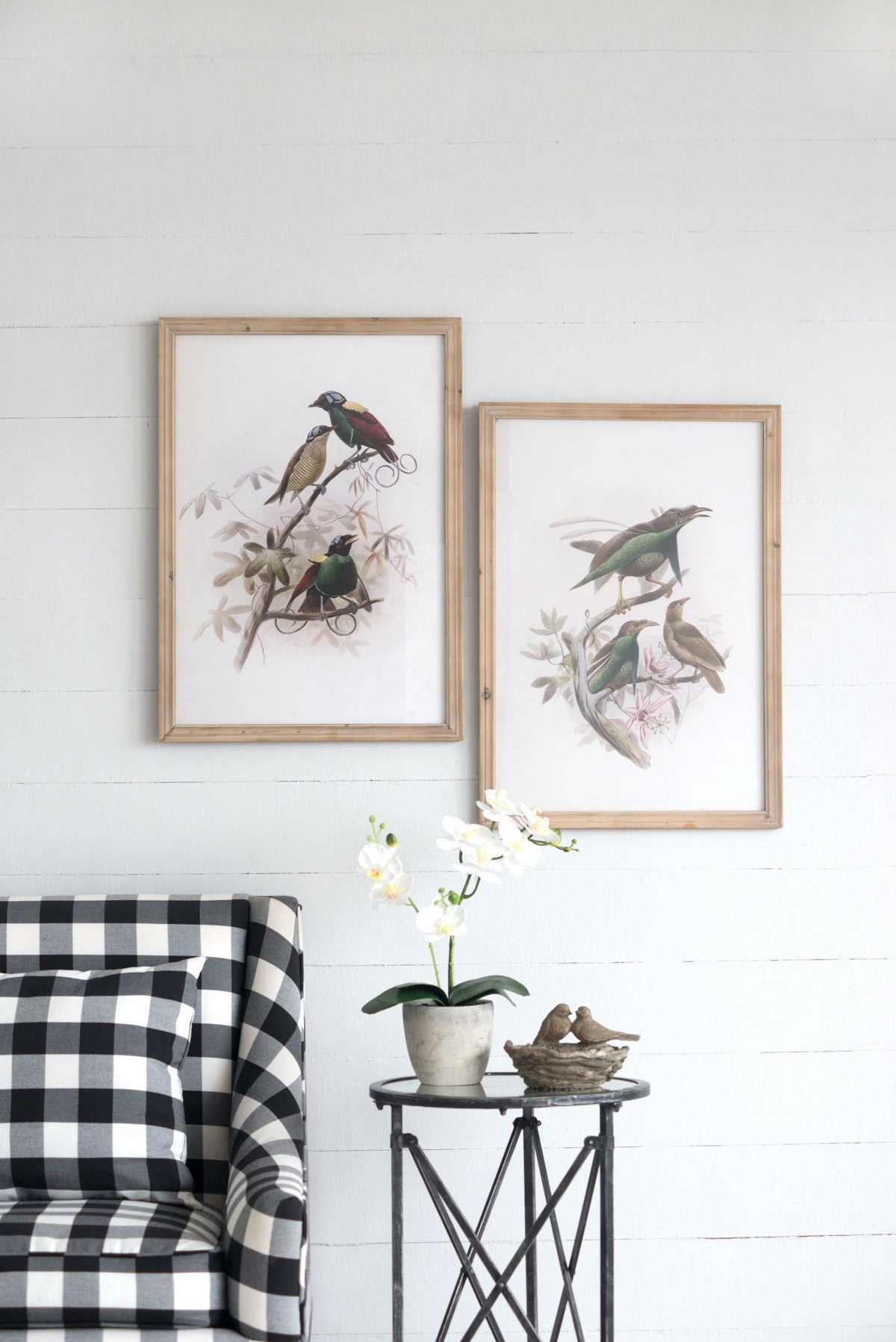 Bird Framed Print (Set of 2) - Multicolor by Unique Piece Furniture
