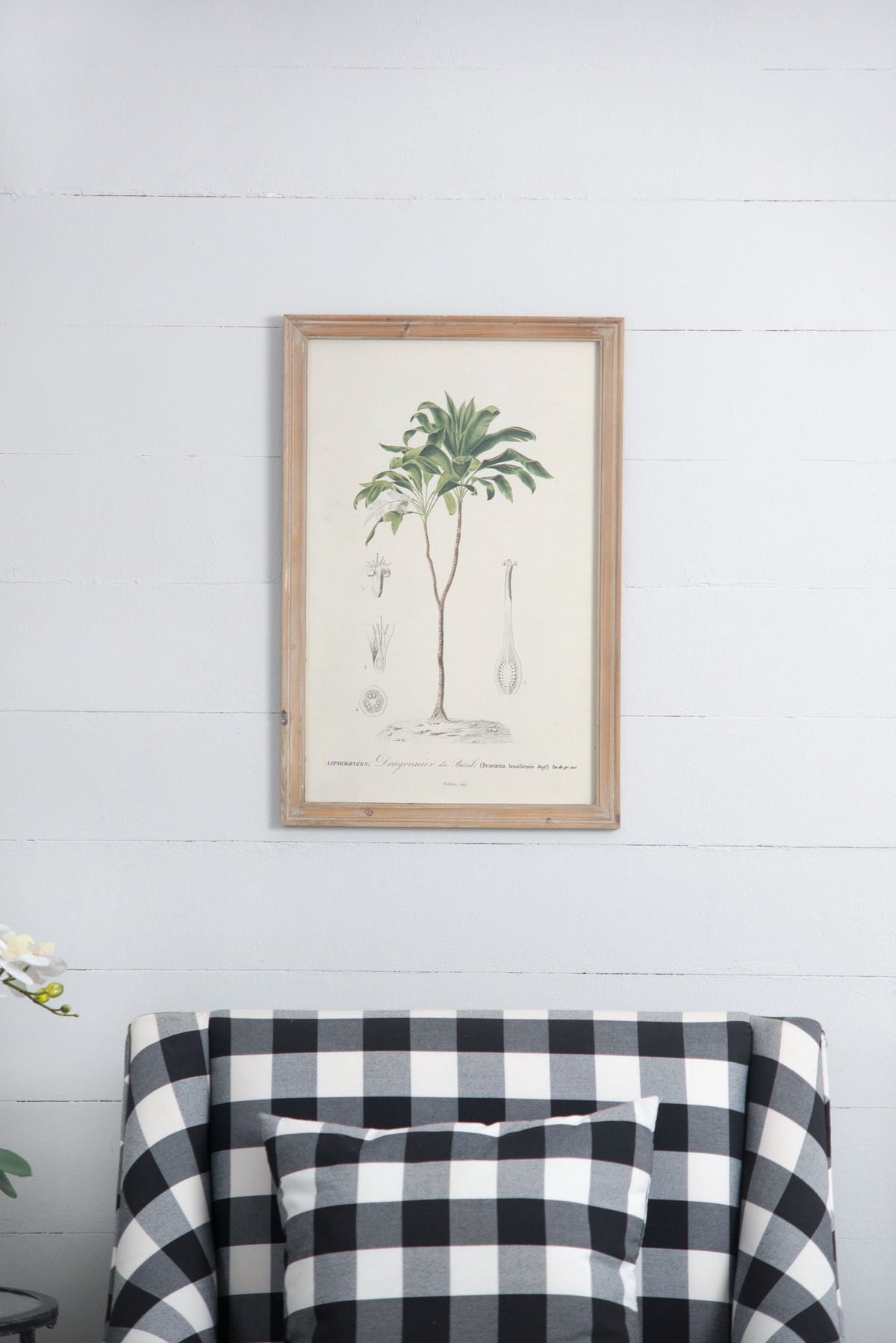 Tree Framed Print (Set of 2) - Multicolor by Unique Piece Furniture