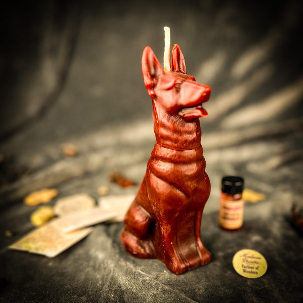 Faithful Dog Candle Spell Kit - Loyalty & Fidelity Magic by Parlour of Wonders