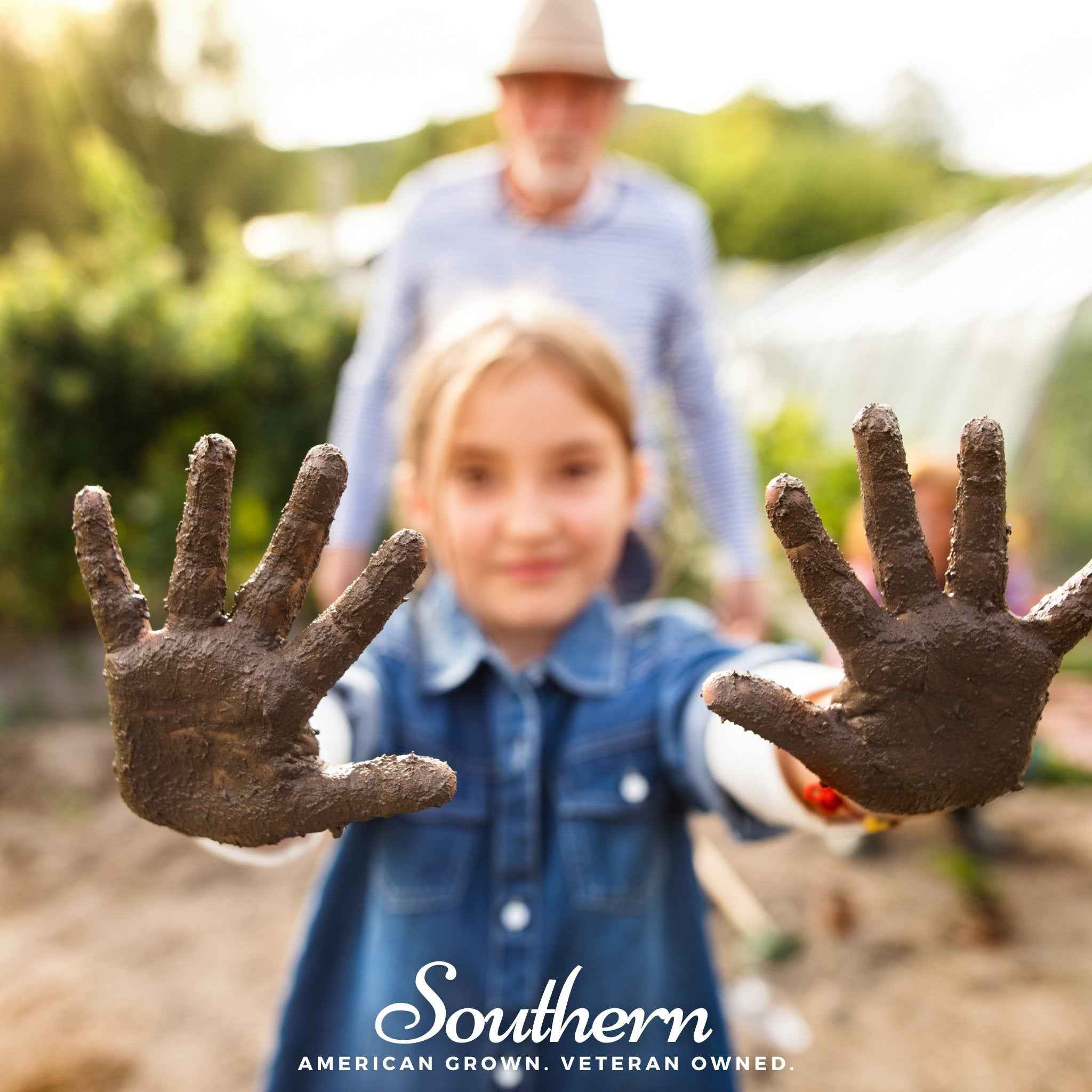 Kids Garden Seed Collection – 10 Varieties by Southern Seeds