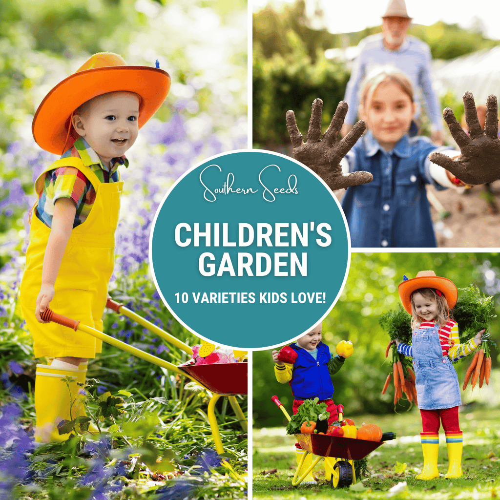 Kids Garden Seed Collection – 10 Varieties by Southern Seeds