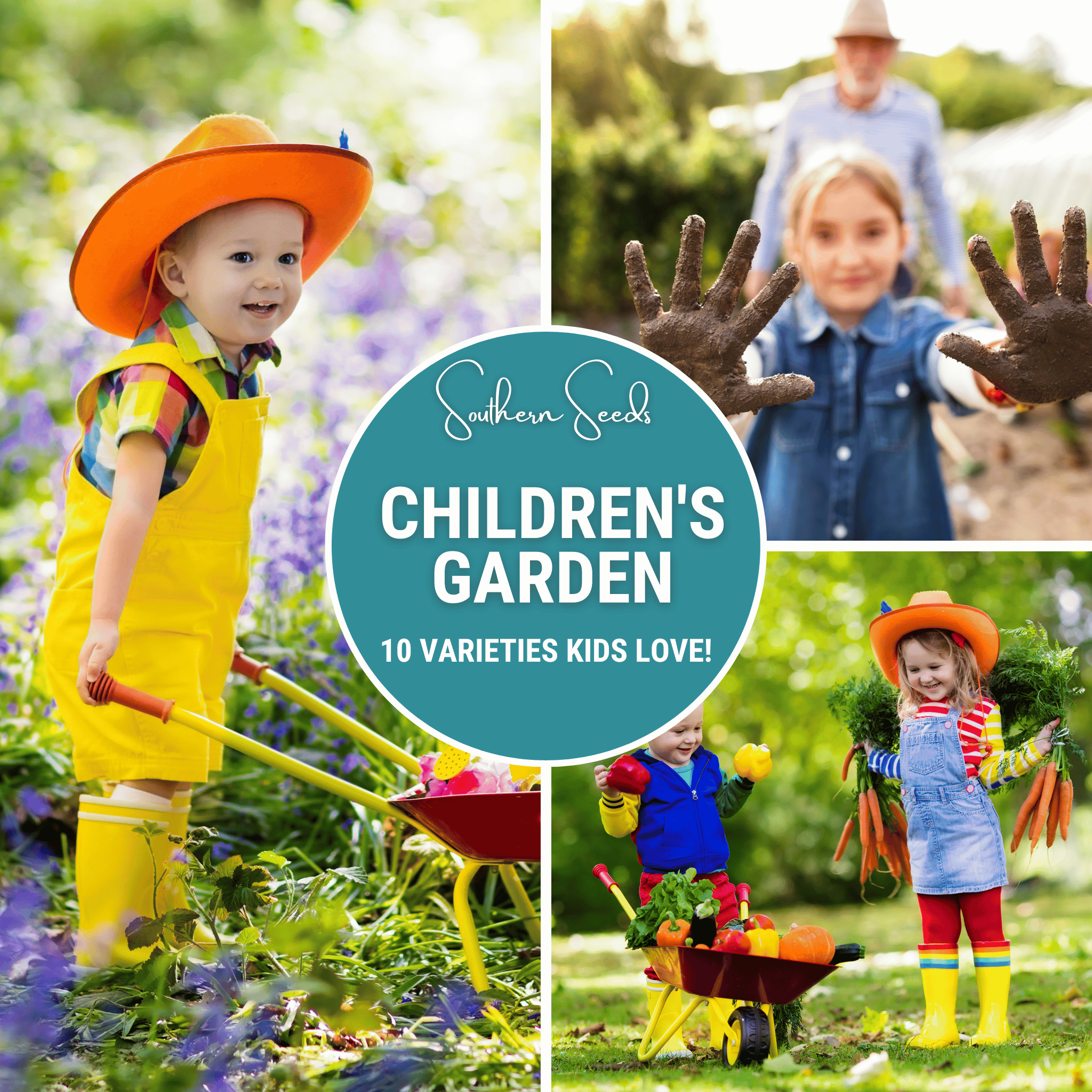 Kids Garden Seed Collection – 10 Varieties by Southern Seeds