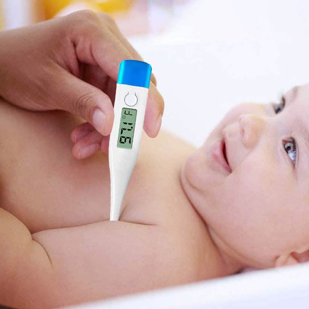 LCD Digital Thermometer Fahrenheit °F High Precision Waterproof Thermometer by DailySale