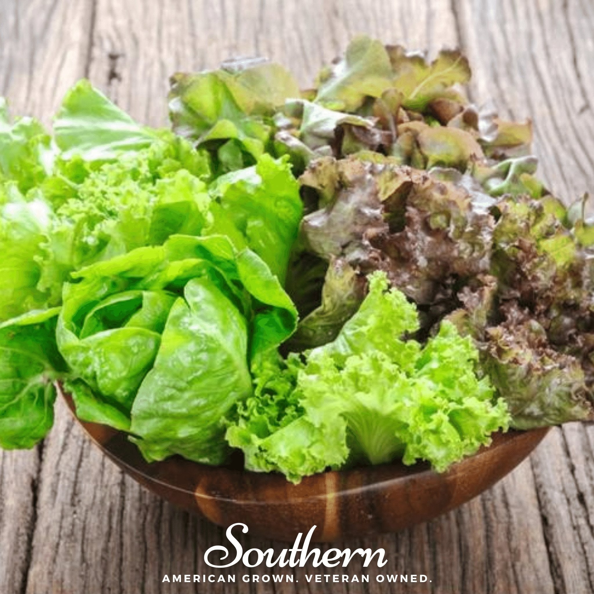 Bibb Summer Lettuce – 500 Seeds by Southern Seeds