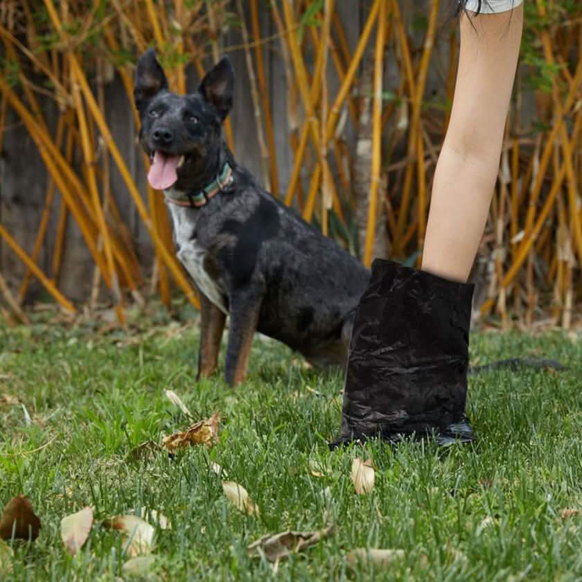 Oxo-Biodegradable Poop Bags for Dogs and Cats with Dispenser by DailySale