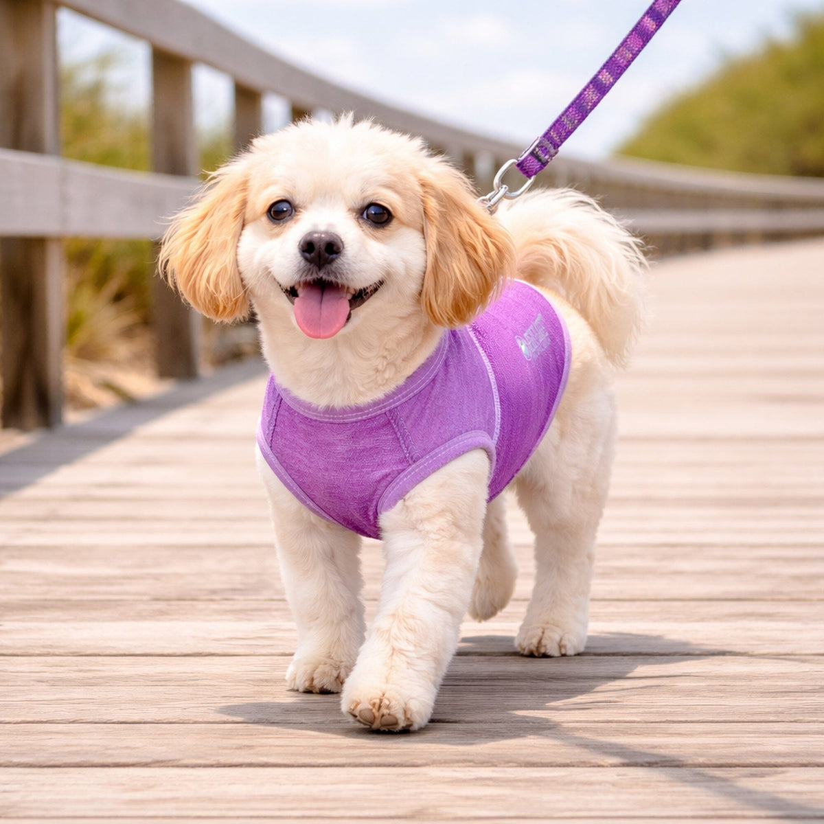 Pet Life ® Active 'Aero-Pawlse' Quick-Dry and 4-Way-Stretch Yoga Fitness Dog T-Shirt Tank Top by Pet Life