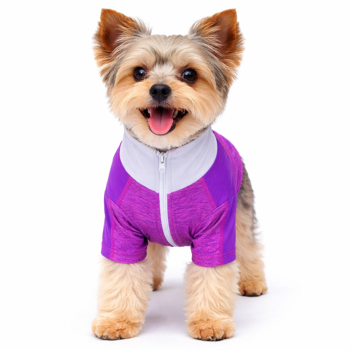 Pet Life ® Active 'Chewitt Wagassy' 4-Way-Stretch Yoga Fitness Long-Sleeve Dog T-Shirt by Pet Life