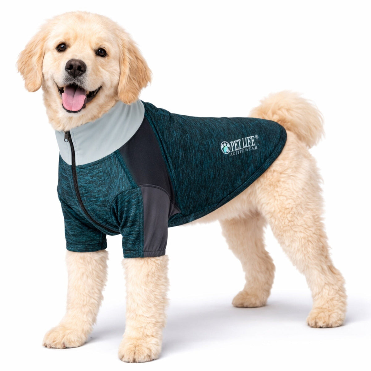 Pet Life ® Active 'Chewitt Wagassy' 4-Way-Stretch Yoga Fitness Long-Sleeve Dog T-Shirt by Pet Life