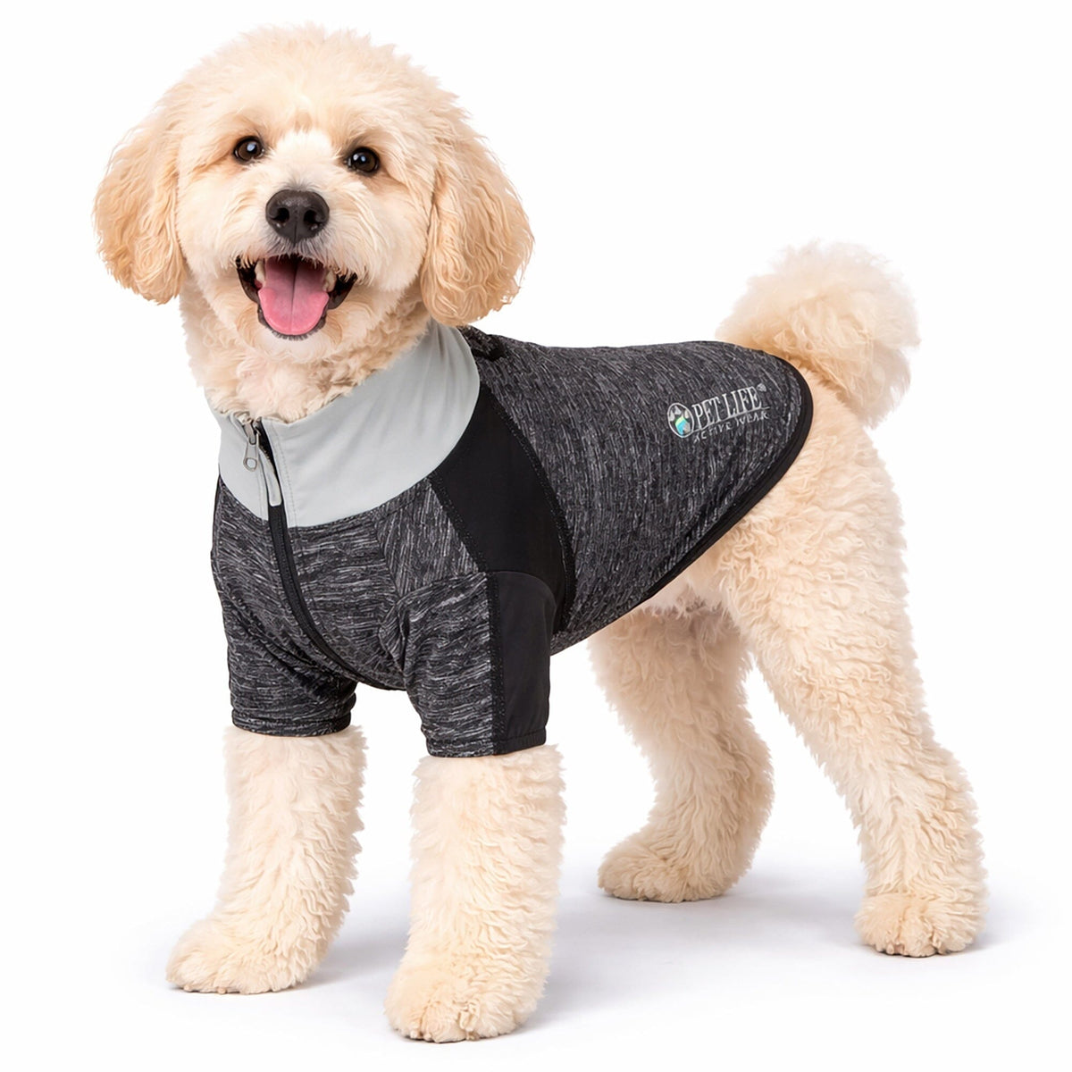 Pet Life ® Active 'Chewitt Wagassy' 4-Way-Stretch Yoga Fitness Long-Sleeve Dog T-Shirt by Pet Life
