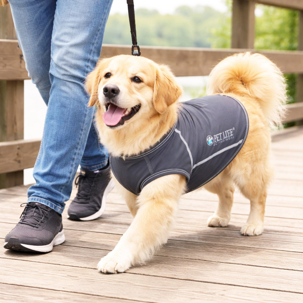 Pet Life ® Active 'Racerbark' 4-Way-Stretch Yoga Fitness Dog T-Shirt Tank Top by Pet Life