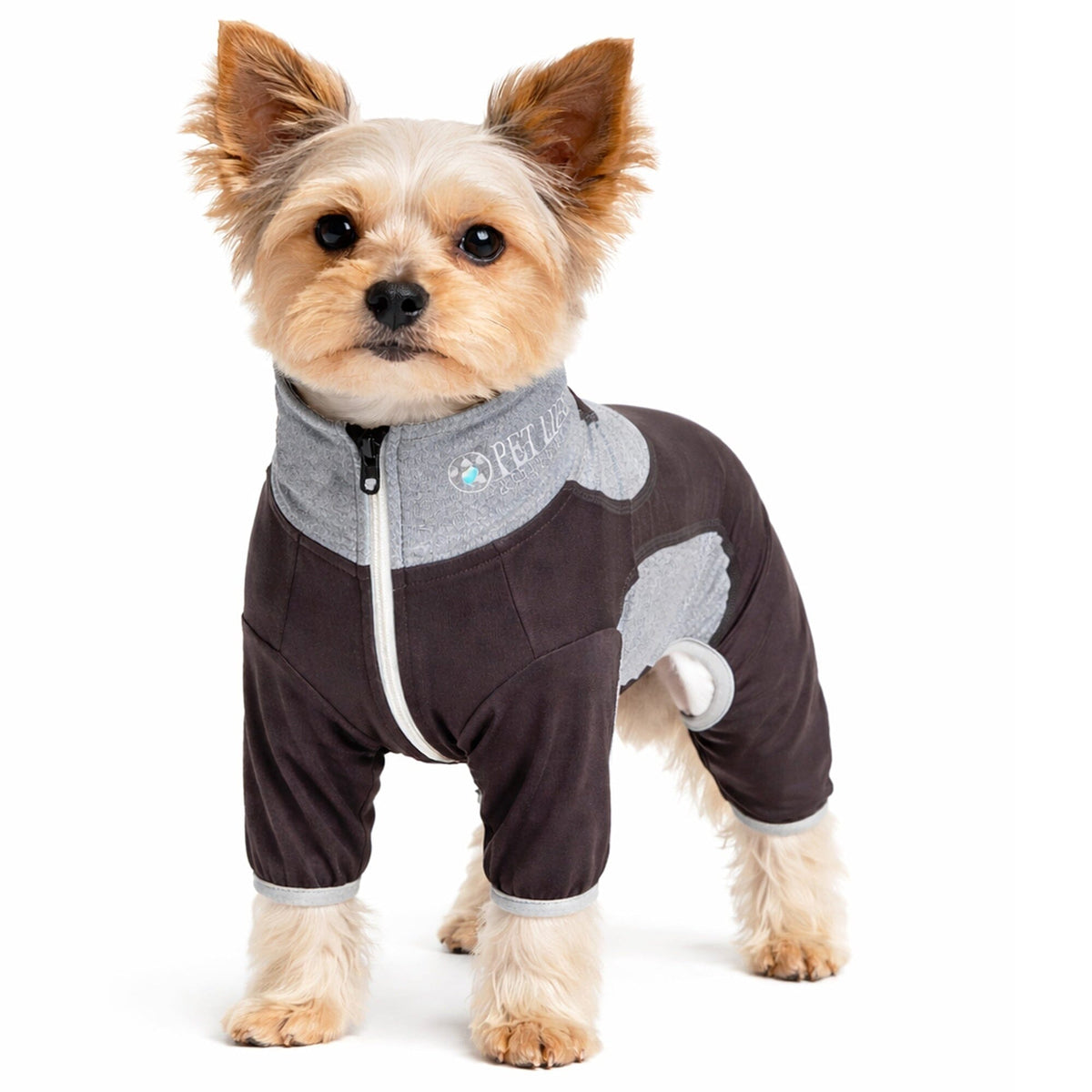 Pet Life ® Active 'Warm-Pup' Stretchy and Quick-Drying Fitness Dog Yoga Warm-Up Tracksuit by Pet Life