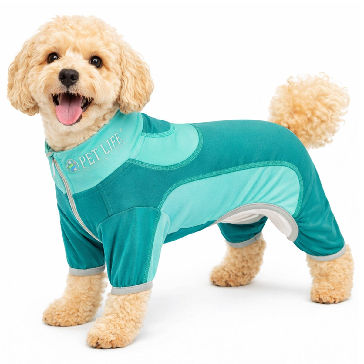 Pet Life ® Active 'Warm-Pup' Stretchy and Quick-Drying Fitness Dog Yoga Warm-Up Tracksuit by Pet Life