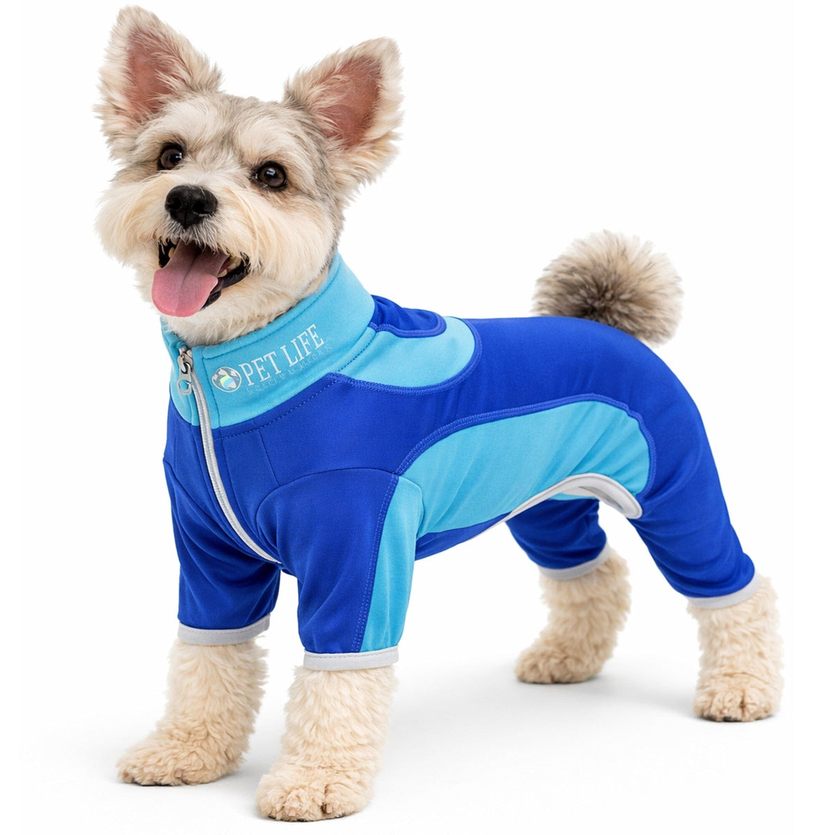 Pet Life ® Active 'Warm-Pup' Stretchy and Quick-Drying Fitness Dog Yoga Warm-Up Tracksuit by Pet Life