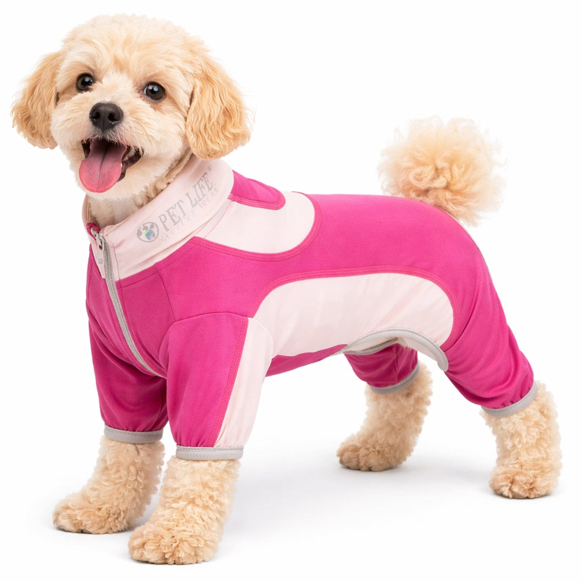 Pet Life ® Active 'Warm-Pup' Stretchy and Quick-Drying Fitness Dog Yoga Warm-Up Tracksuit by Pet Life