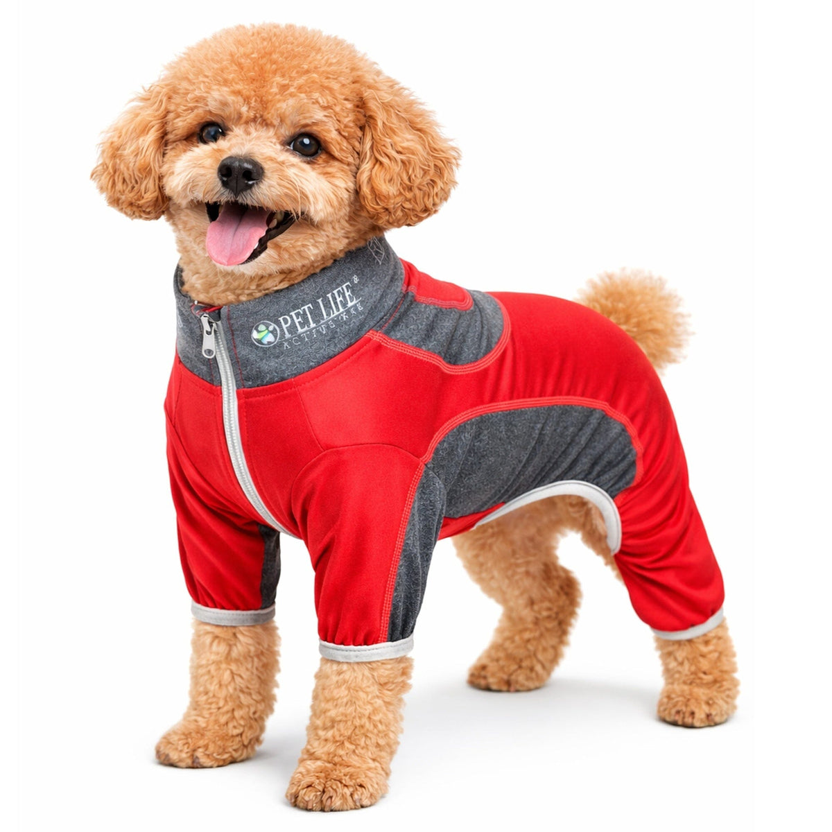 Pet Life ® Active 'Warm-Pup' Stretchy and Quick-Drying Fitness Dog Yoga Warm-Up Tracksuit by Pet Life
