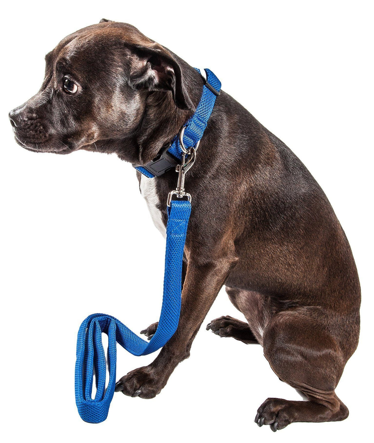 Pet Life ® 'Aero Mesh' Breathable and Adjustable Dual Sided Thick Mesh Dog Leash by Pet Life
