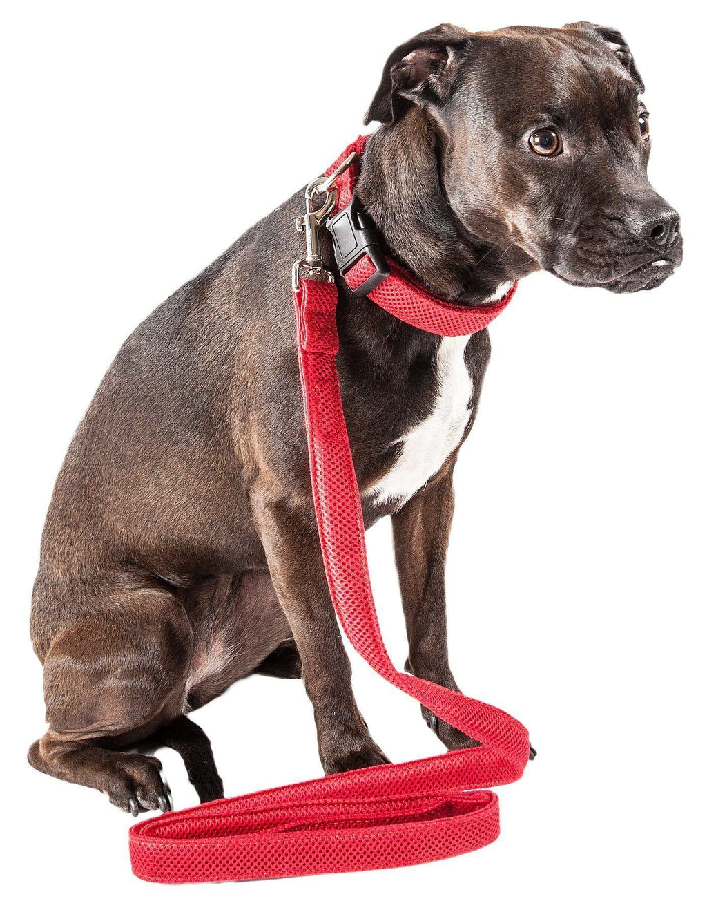 Pet Life ® 'Aero Mesh' Breathable and Adjustable Dual Sided Thick Mesh Dog Leash by Pet Life