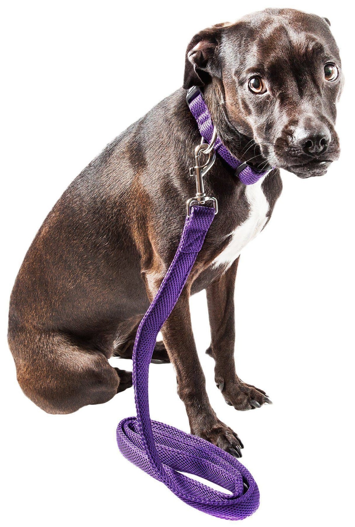 Pet Life ® 'Aero Mesh' Breathable and Adjustable Dual Sided Thick Mesh Dog Leash by Pet Life
