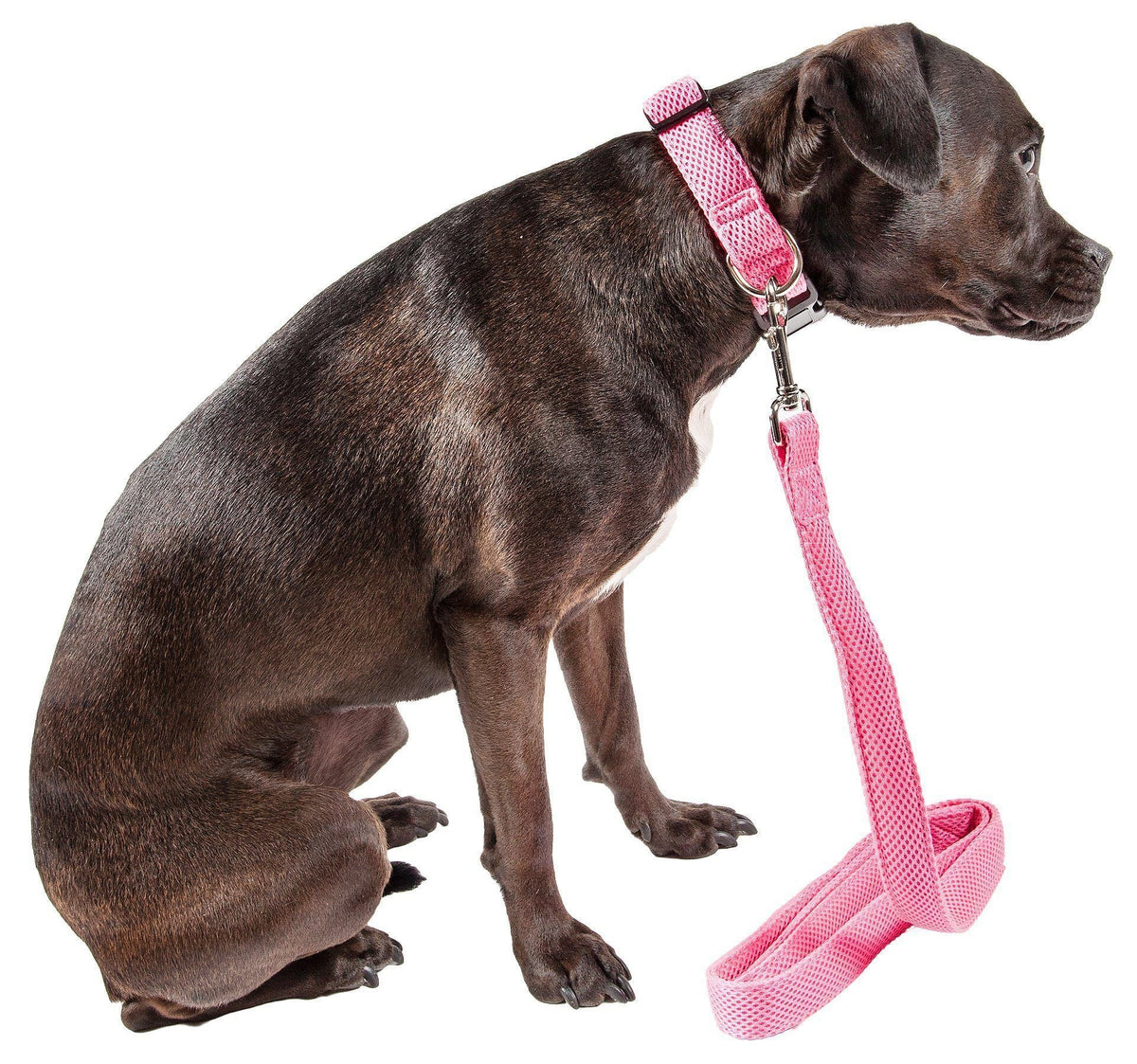 Pet Life ® 'Aero Mesh' Breathable and Adjustable Dual Sided Thick Mesh Dog Leash by Pet Life