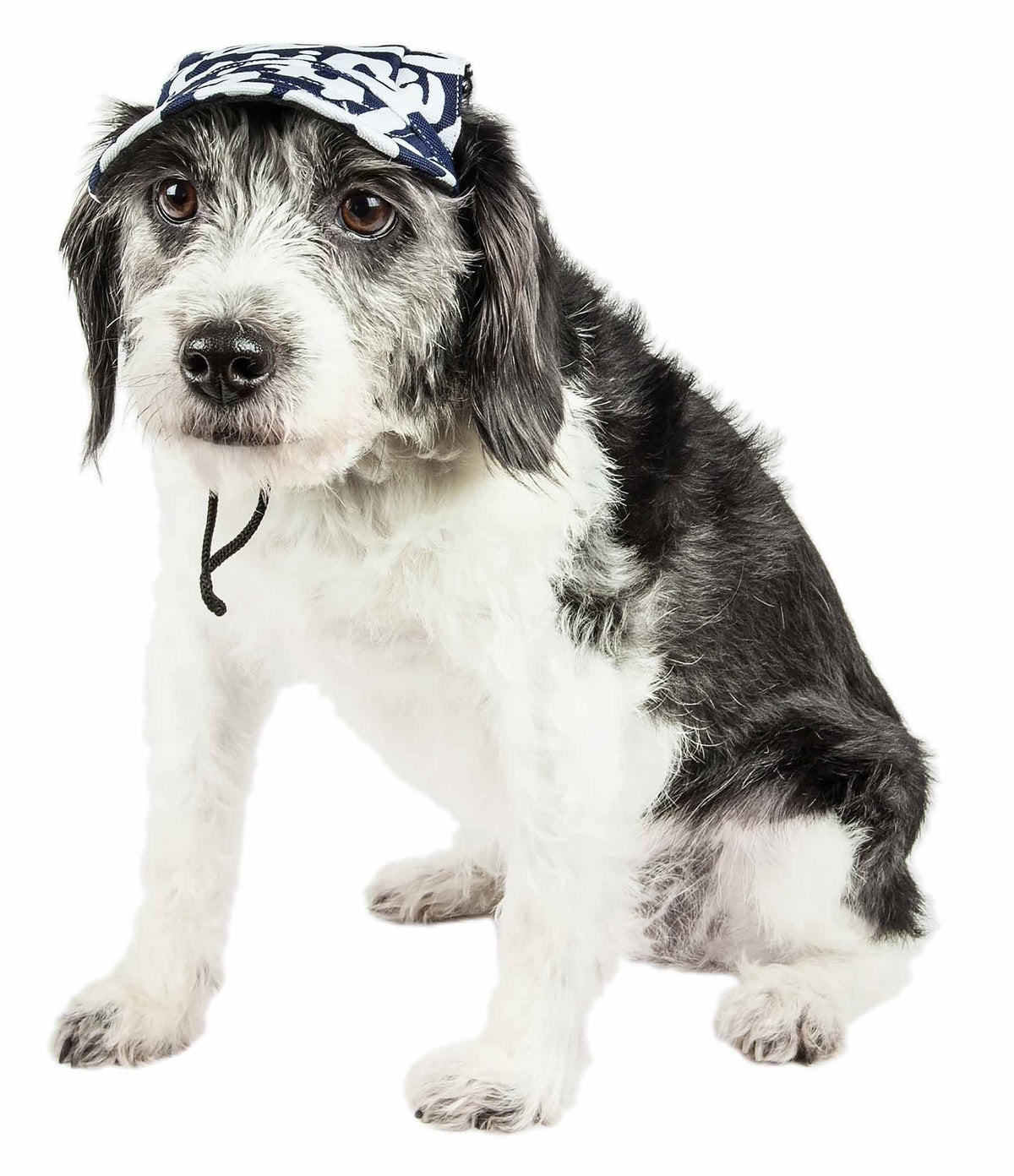 Pet Life ® 'Bone Cappa' Graffiti Sculptured Uv Protectant Adjustable Fashion Dog Hat Cap by Pet Life