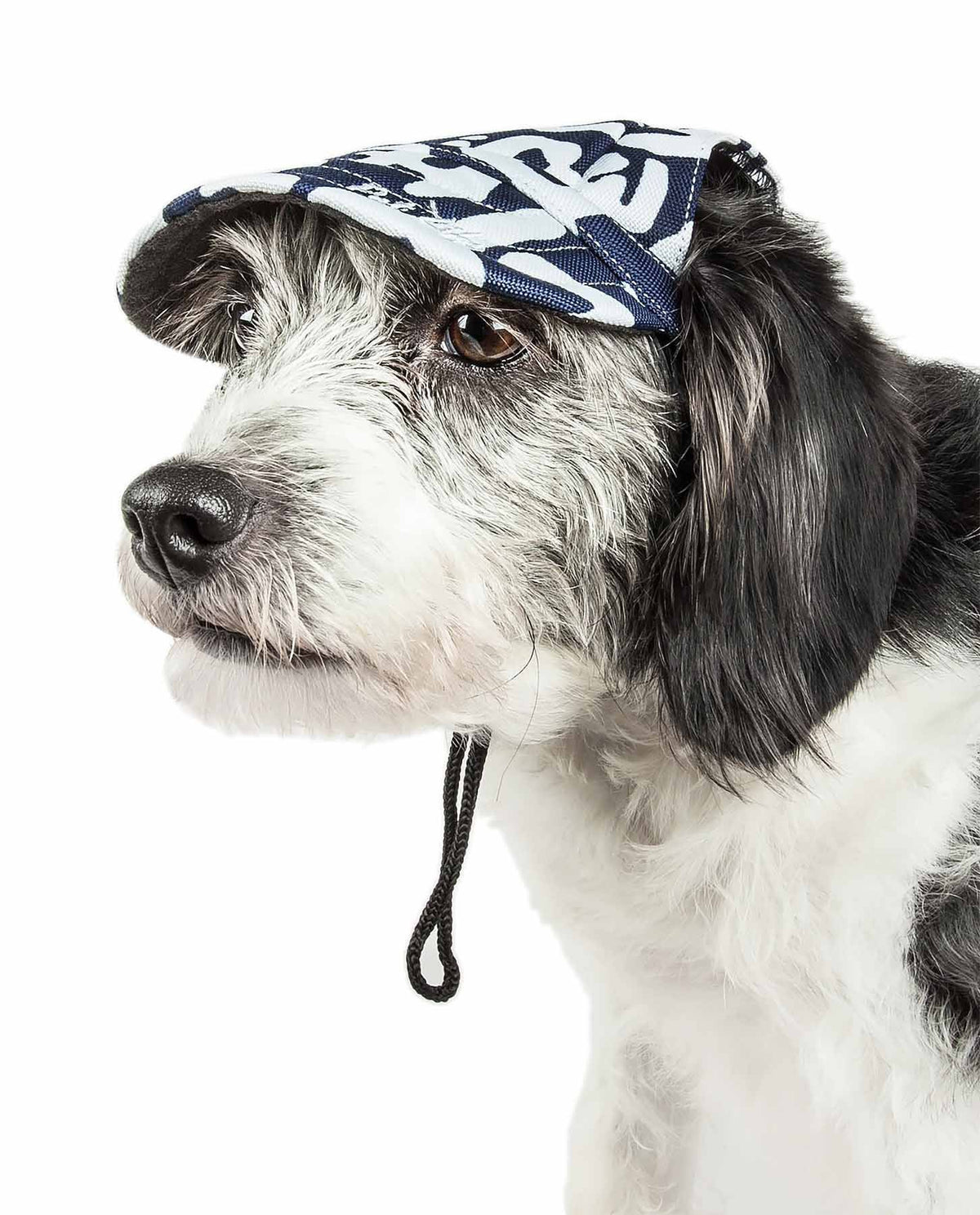 Pet Life ® 'Bone Cappa' Graffiti Sculptured Uv Protectant Adjustable Fashion Dog Hat Cap by Pet Life