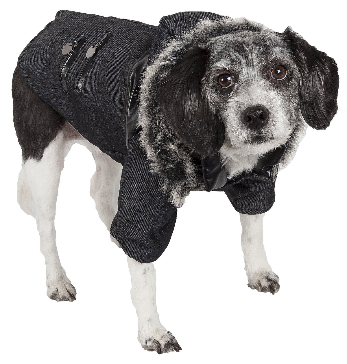 Pet Life ® 'Ruff-Choppered' Denim Fashioned Wool Dog Coat Jacket by Pet Life