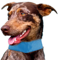 Pet Life ® 'Summer-Cooling' Ice Insertable and Adjustable Cooling Dog Neck Wrap by Pet Life